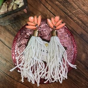 𝐄𝐀𝐑𝐑𝐈𝐍𝐆𝐒